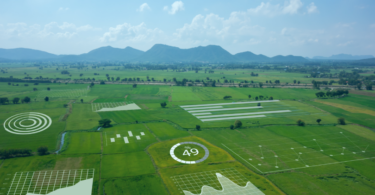 Uma vista aérea de um campo verde com ilustrações de gráficos, representando o conceito de agricultura de precisão.