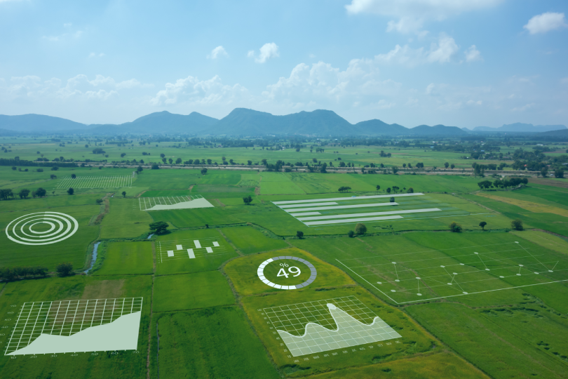 Uma vista aérea de um campo verde com ilustrações de gráficos, representando o conceito de agricultura de precisão.