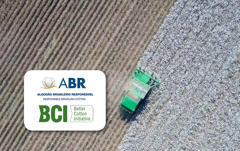 Certificação ABR: impulsione a produção de algodão sustentável